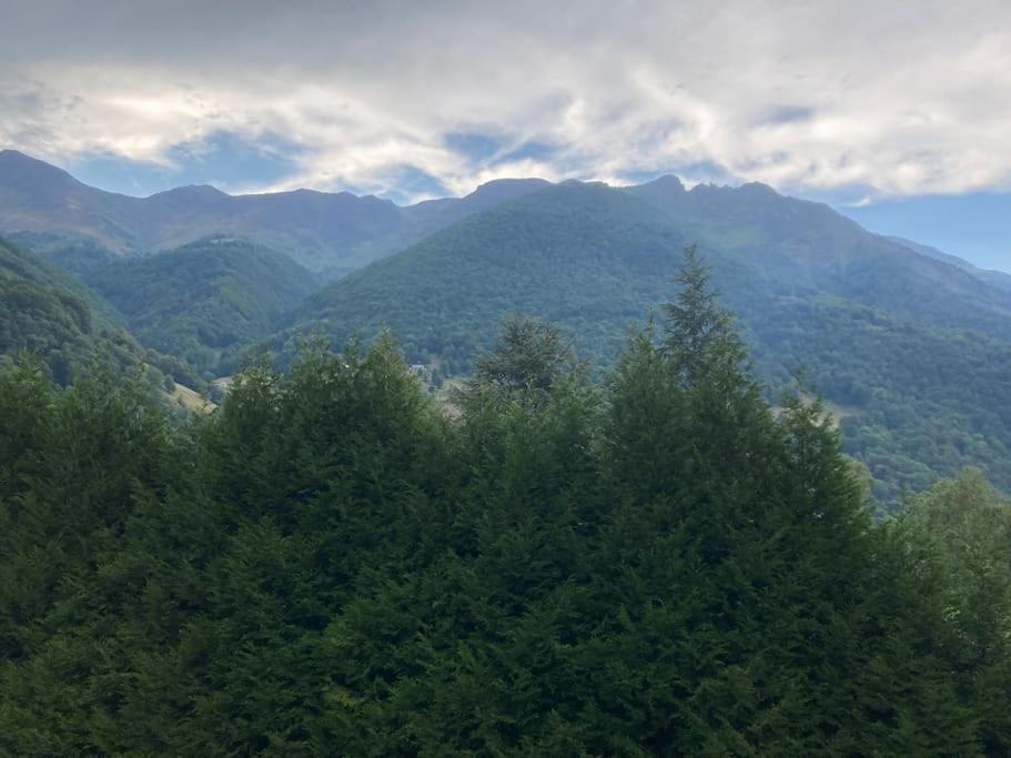 Le 31 Clos Sainte Marie Cauterets Dış mekan fotoğraf